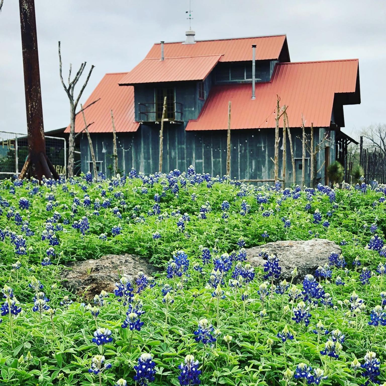 Montesino Ranch Lodging Villa Wimberley Buitenkant foto